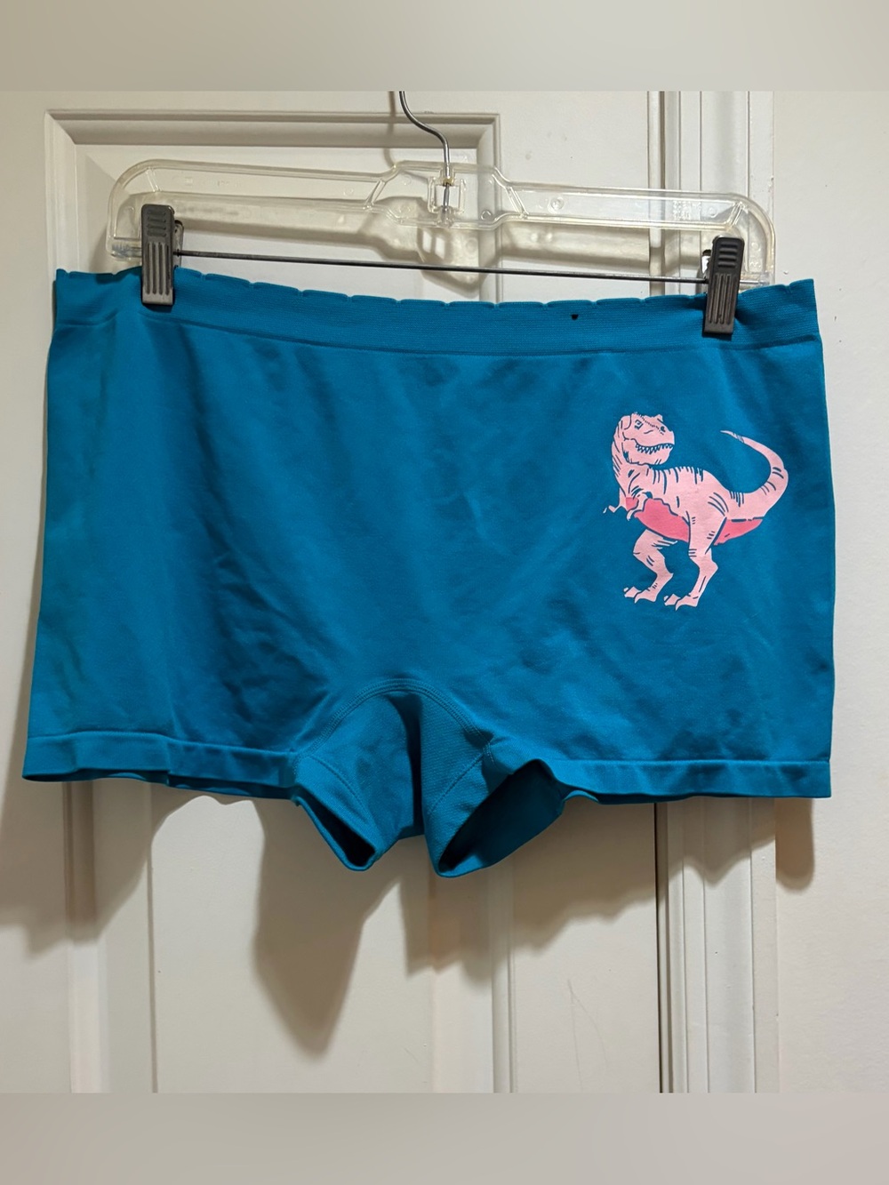 NWOT Torrid Curve Boyshort with Dinosaur Print size 2X